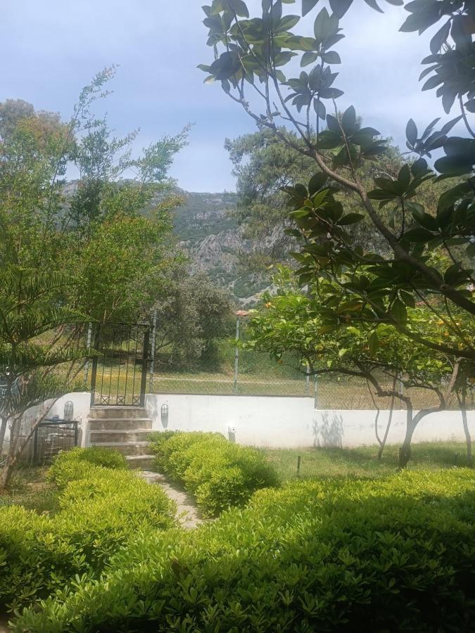 Summer Otel Mugla Exteriér fotografie